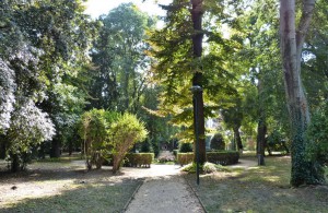 Green nature spot in Venice Parco Savignon