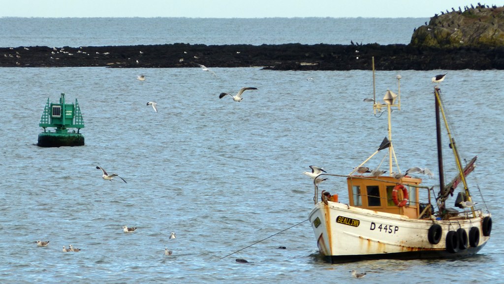 Day trip from Dublin to Howth in Ireland