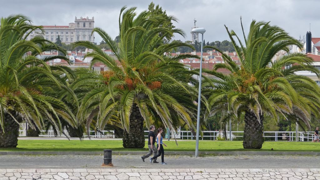 moments of travel on yellow boat tour in Lisbon, Portugal (19)