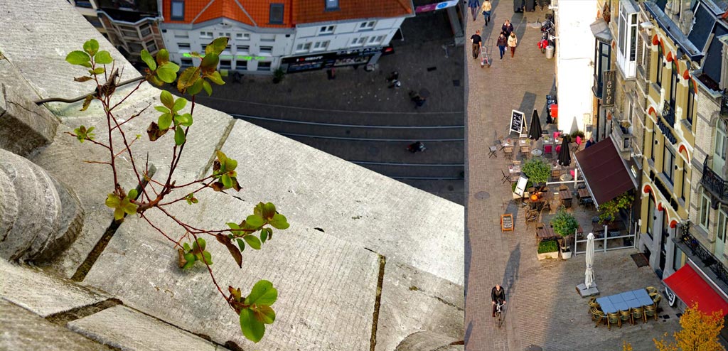 Ausblick vom Gent Belfried, Plfanze am Glockenturm und Spaziergänger in Fußgängerzone, Gent Sehenswürdigkeiten, Moments of Travel
