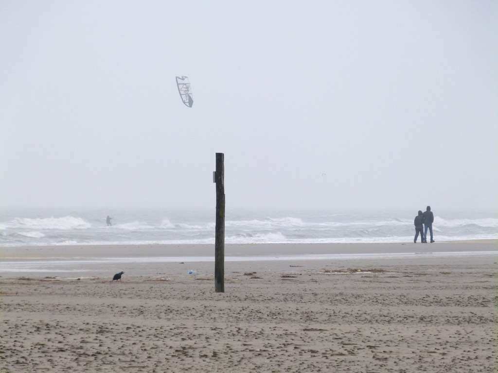 Holzpfahl Meer St. Peter-Ording