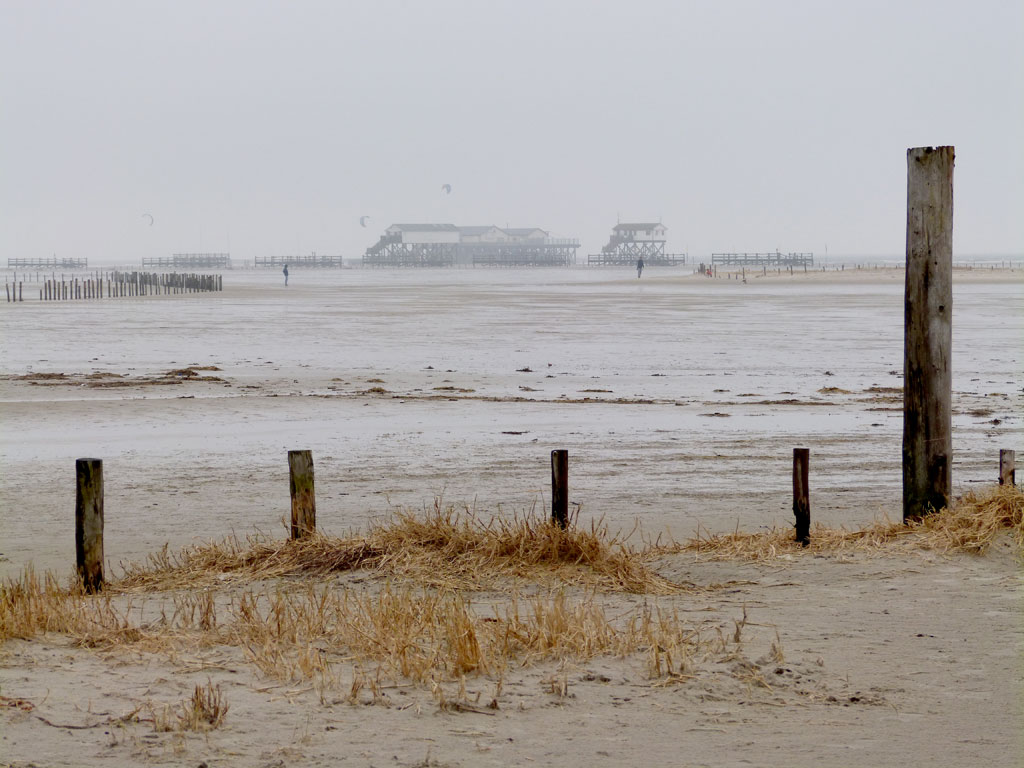 Holzpfähle Watt Haus St. Peter-Ording