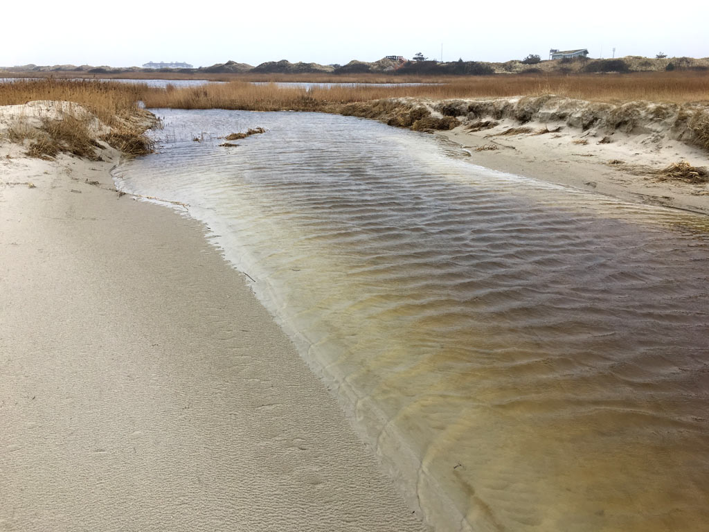 Natur Wasser St. Peter-Ording