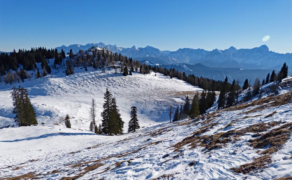 aussicht auf schnee baeume und berge dobratsch