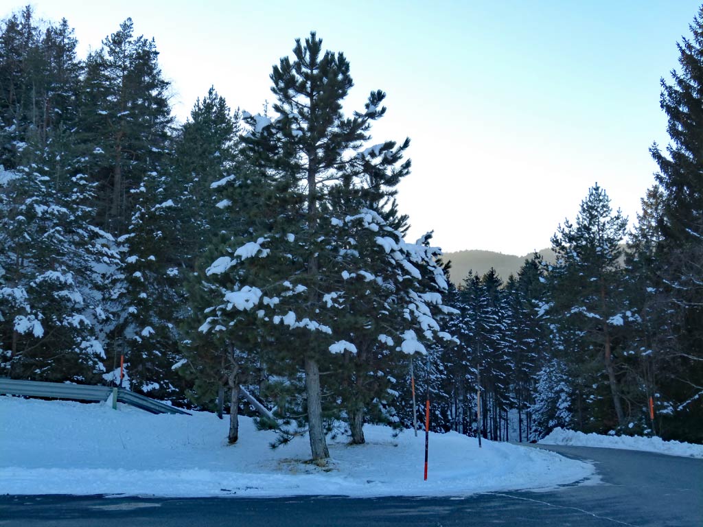 baeume schnee dobratsch parkplatz