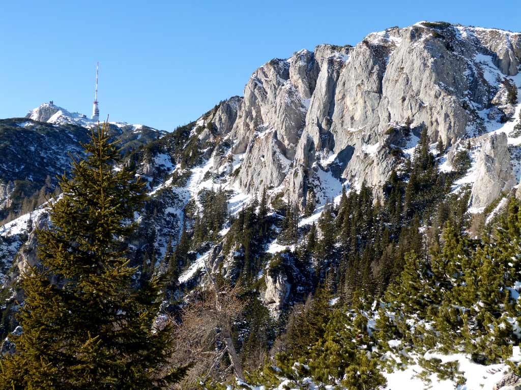 baeume und berg dobratsch