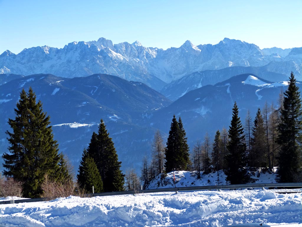 baeume und gebirge dobratsch