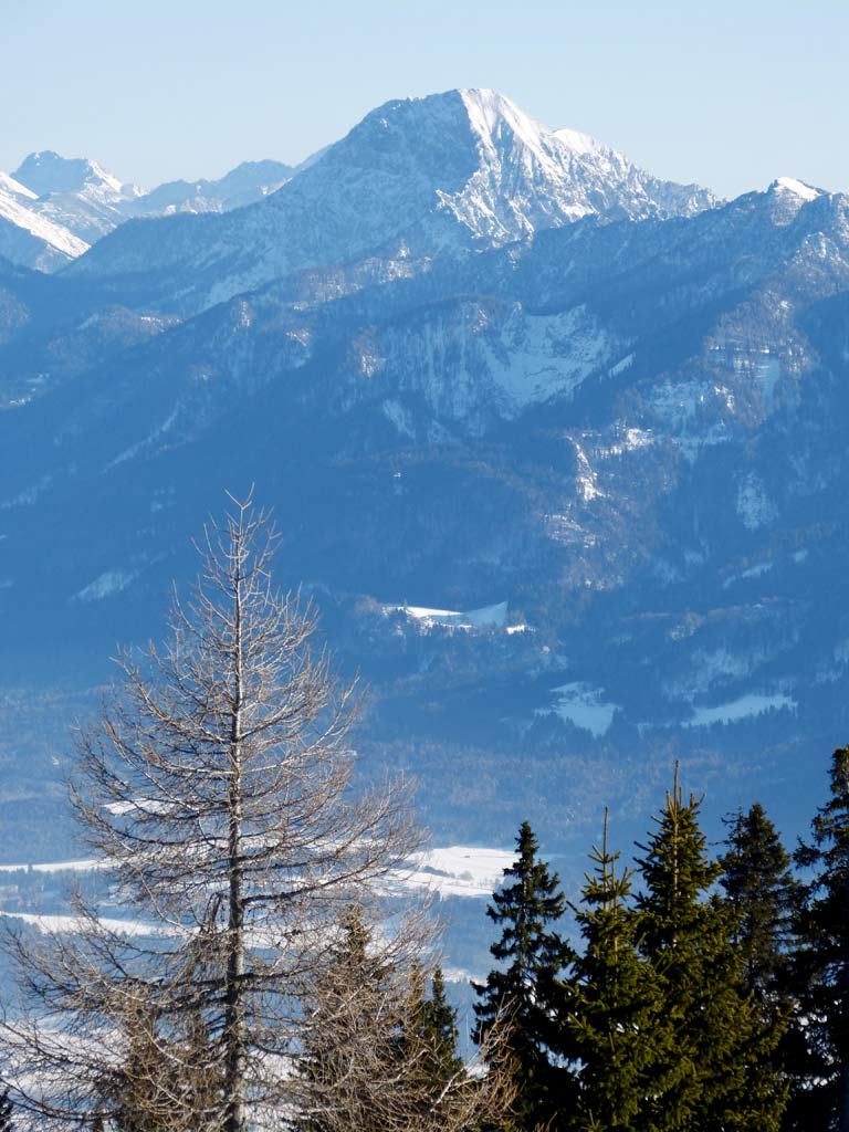 baum und zugeschneiter gipfel vom dobratsch