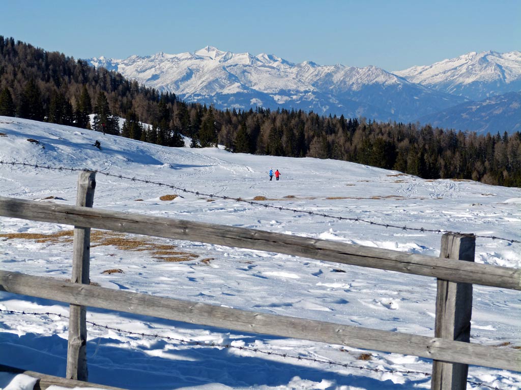 holzzaun und berge dobratsch