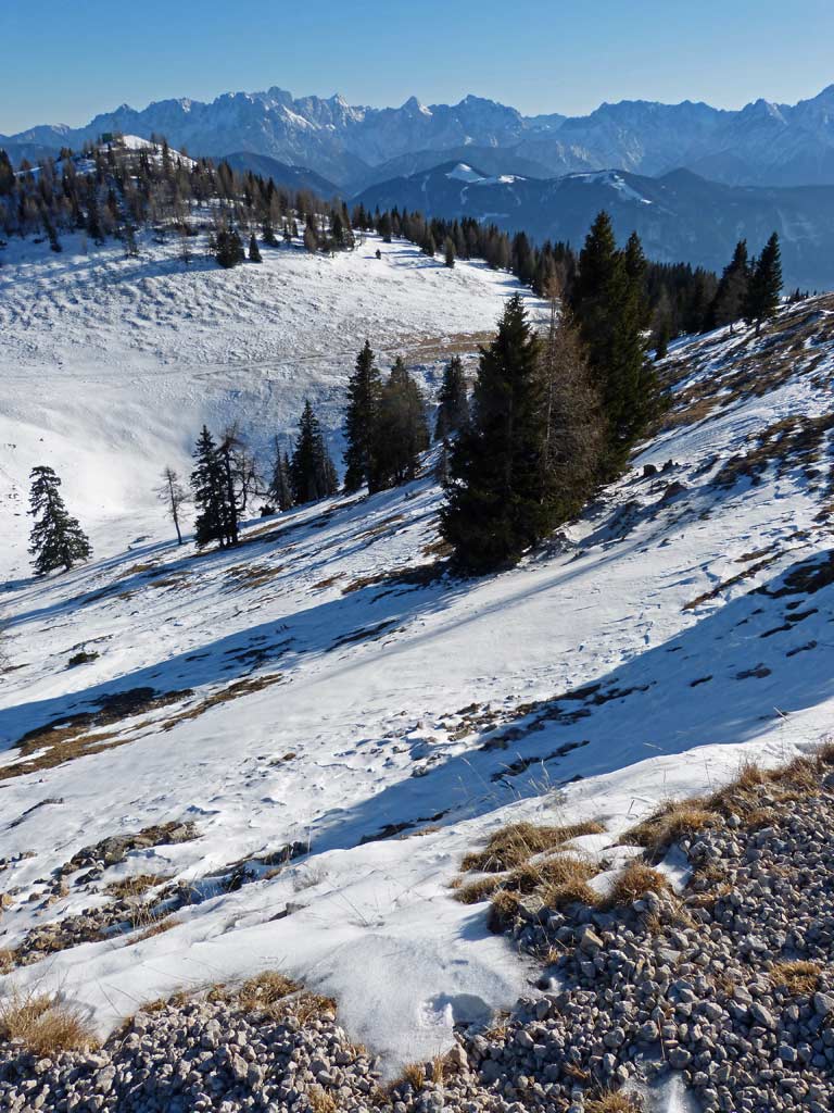 schnee baeume berge dobratsch