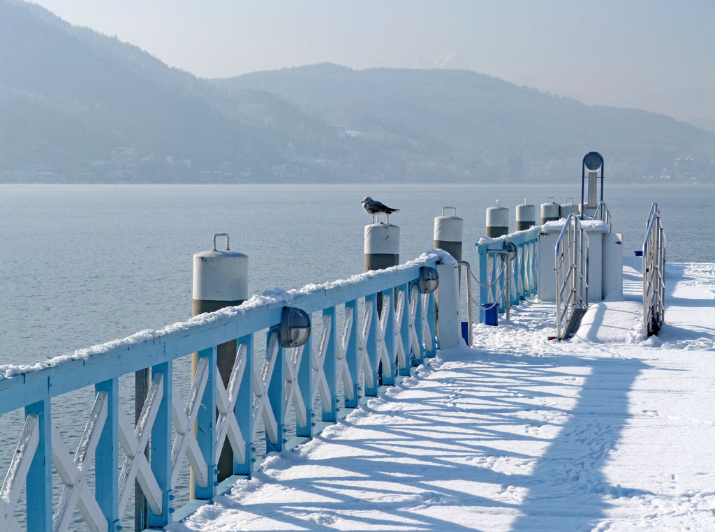 moewe auf gelaender am ossiacher see