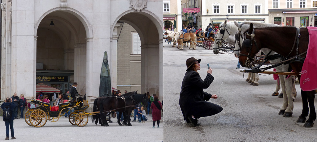 Kutsche Frau Foto Pferd