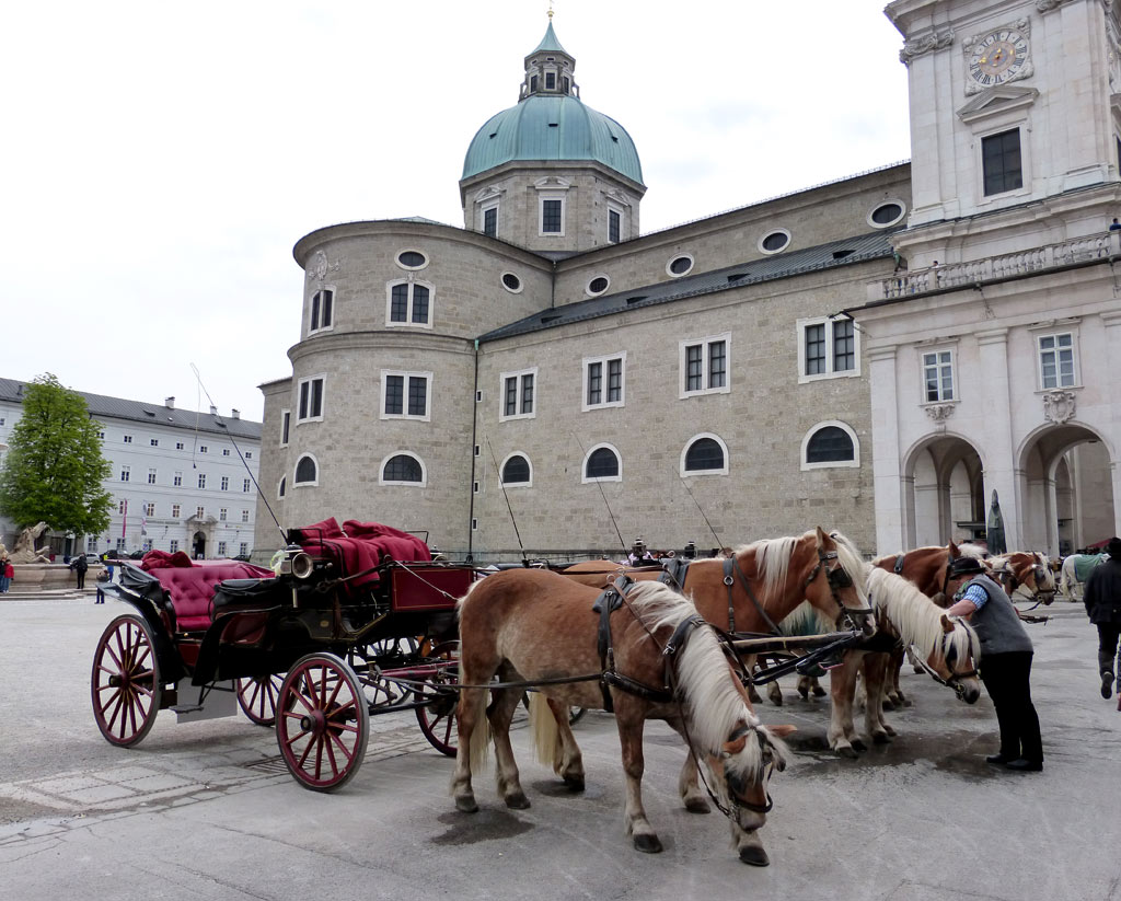 Pferde Kutschen Salzburger Dom