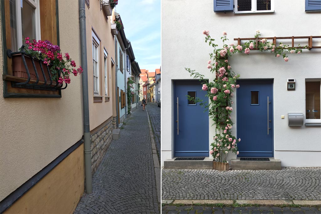 blumenkasten haus bunt andreasviertel erfurt