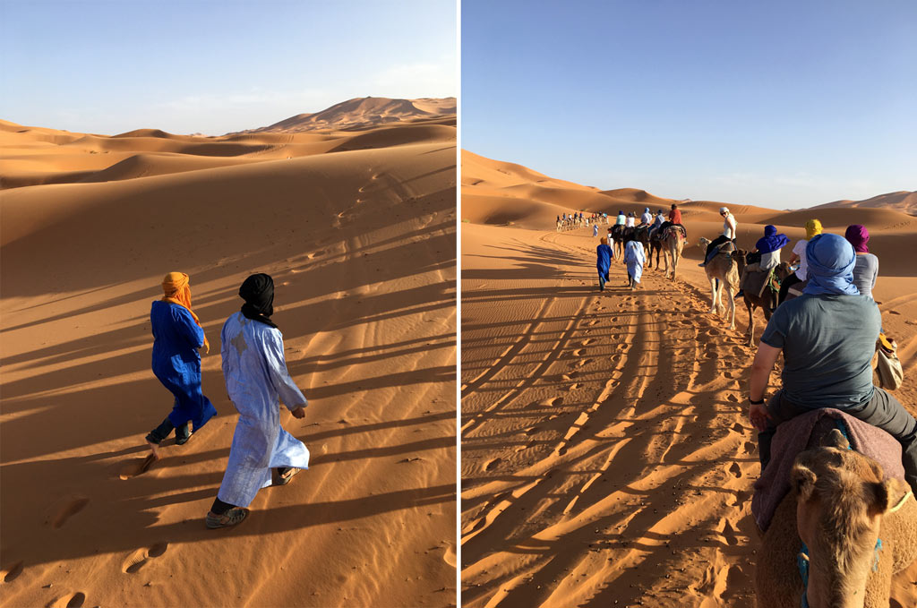 Marokko Wüste Kamele Gruppe