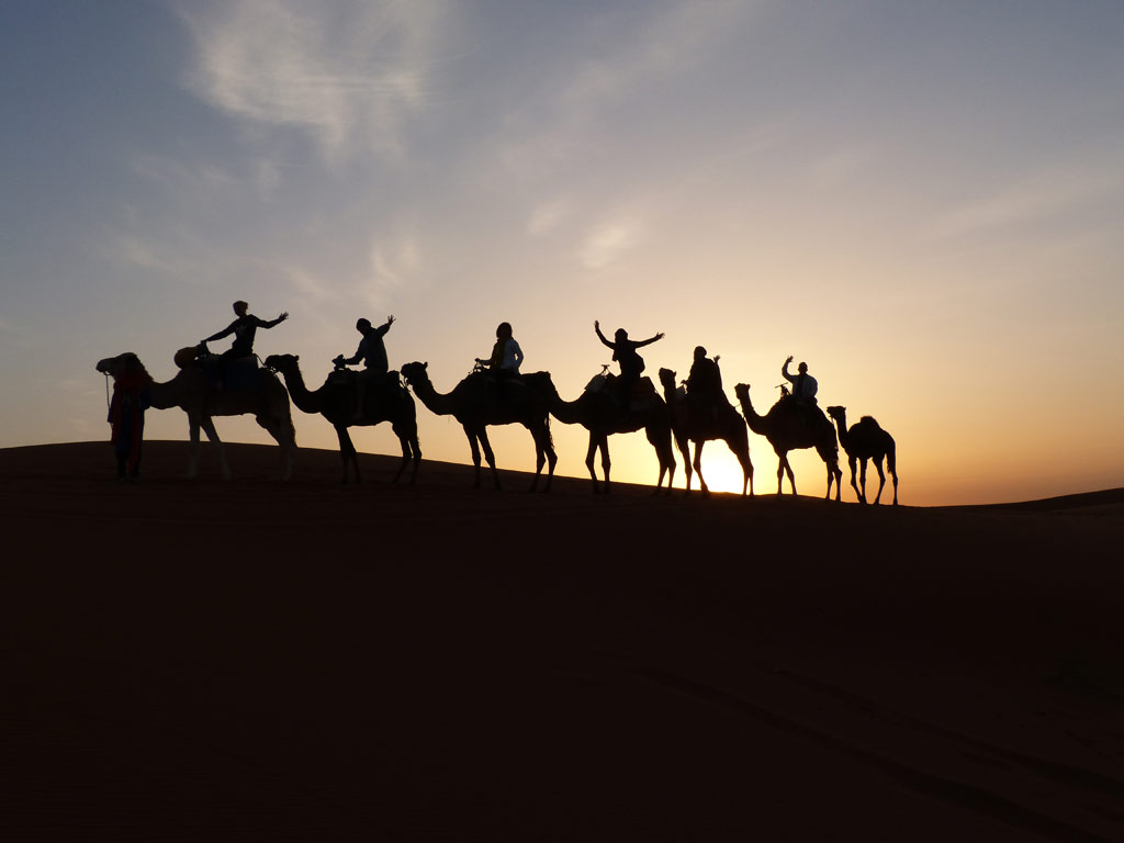 Sahara Wüste Sonnenaufgang Kamele