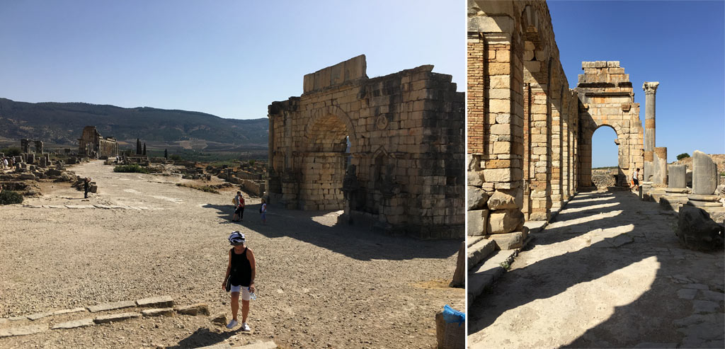 Volubilis Forum