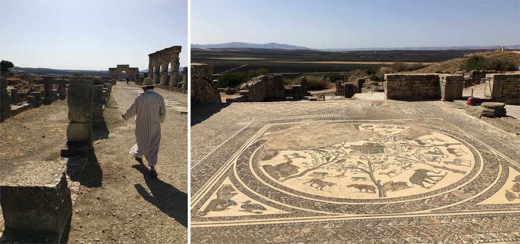 Volubilis Mosaik