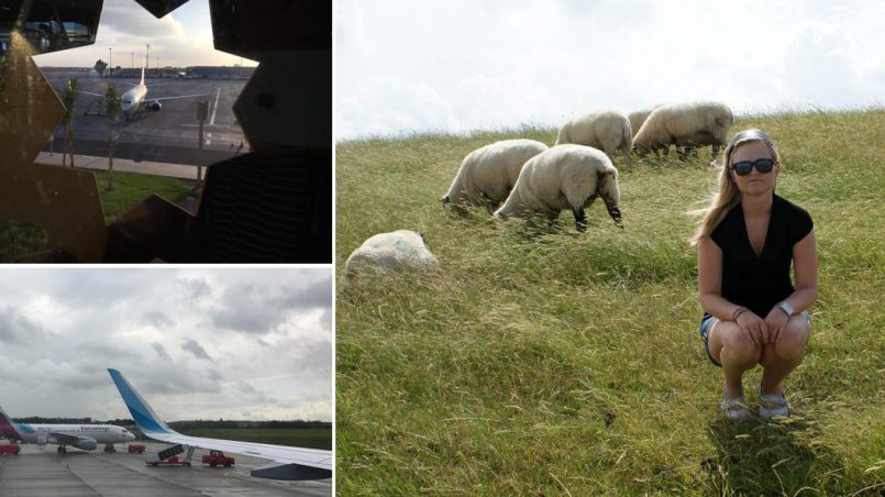 10 schlimmsten reiseerlebnisse frau wiese schafe flugzeug