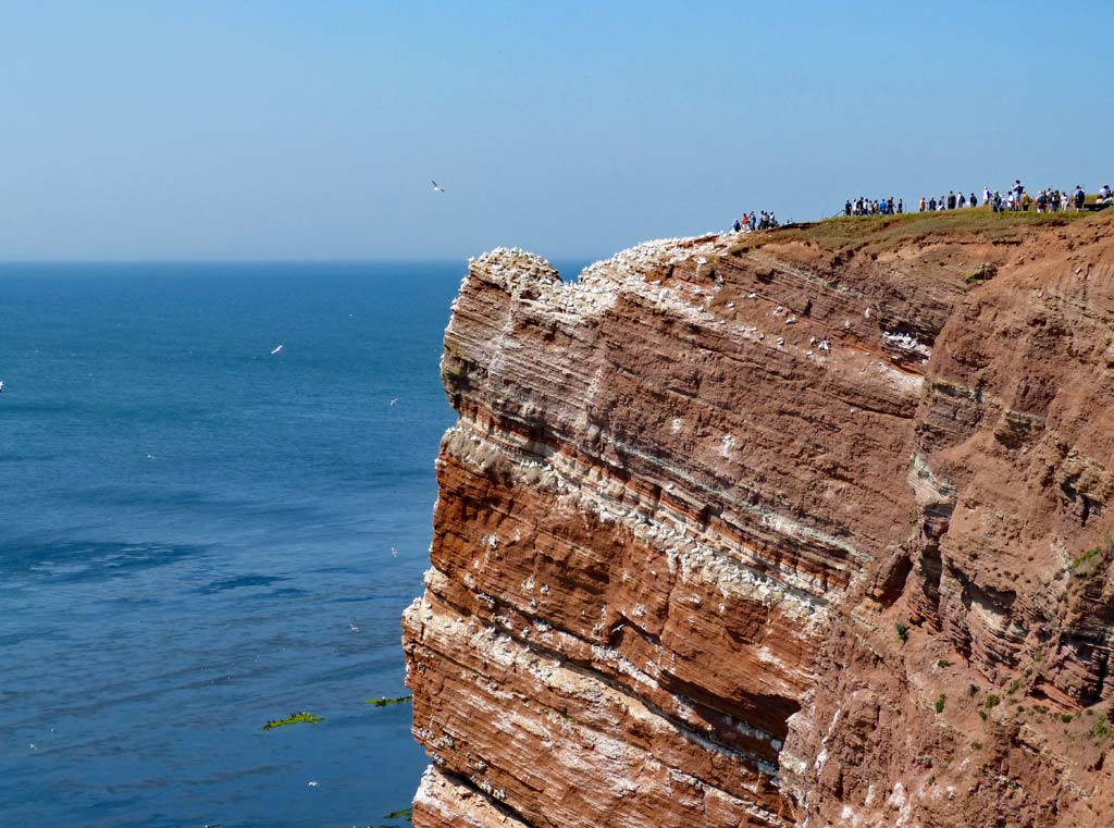 helgoland-lummenfelsen