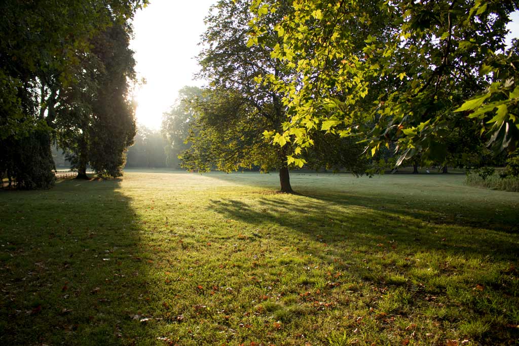 leipzig-park-sonnenaufgang