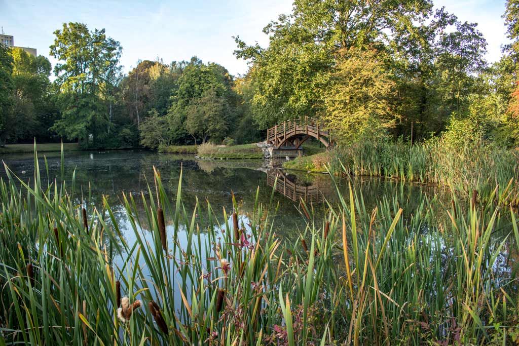 leipzig-tipps-sonnenaufgang-park